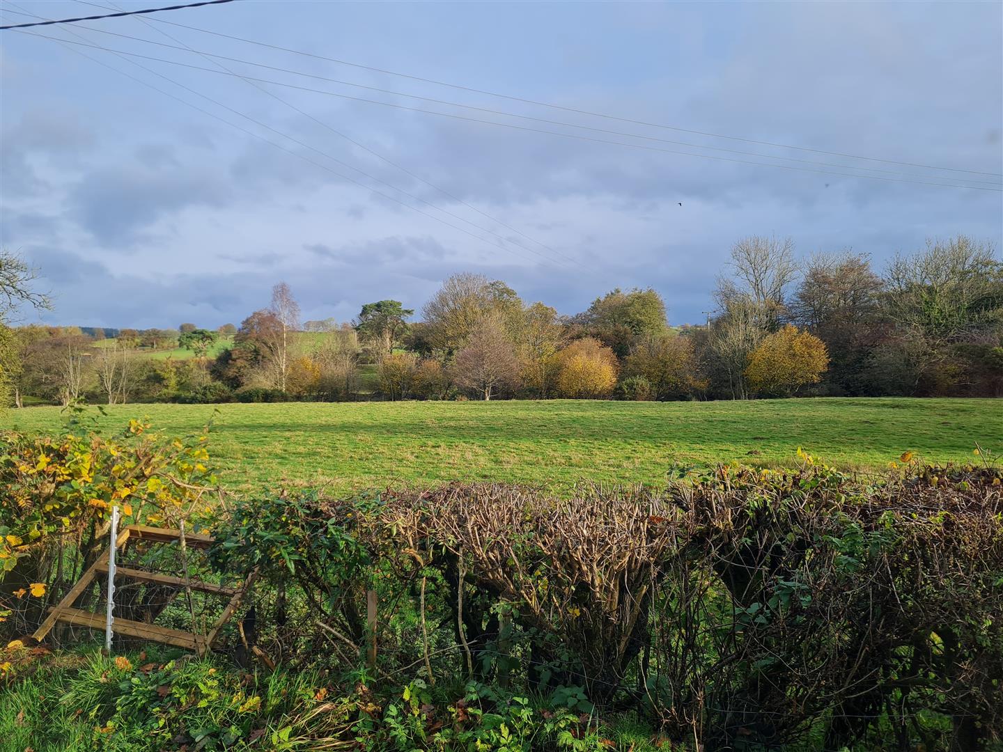 Minafon, Welshpool, SY21 0PU Estate Agents & Auctioneers